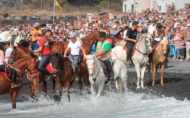San Sebastian te Adeje 2013, de paardenshow