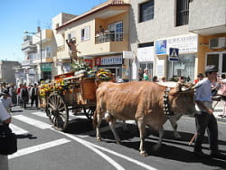 Romería Adeje