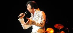 Greg Miller als Elvis