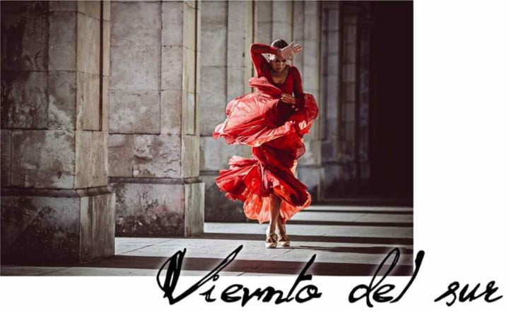 Flamenco Viento del Sur