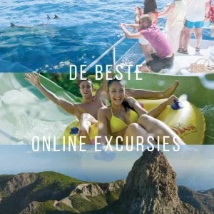 De beste online excursies
