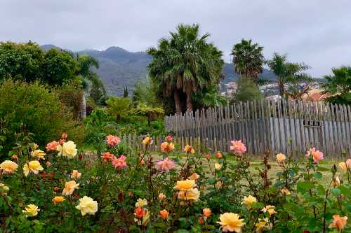La Quinta bloemenpark