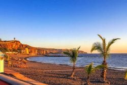Protocol op maat voor Tenerife - strand met palmbomen