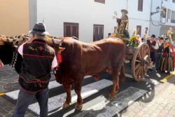 Romeria van Arona