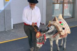 Romeria Arona met een ezeltje