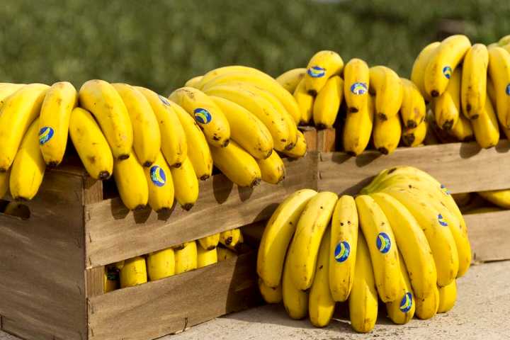 Canarische bananen met keurmerk etiket