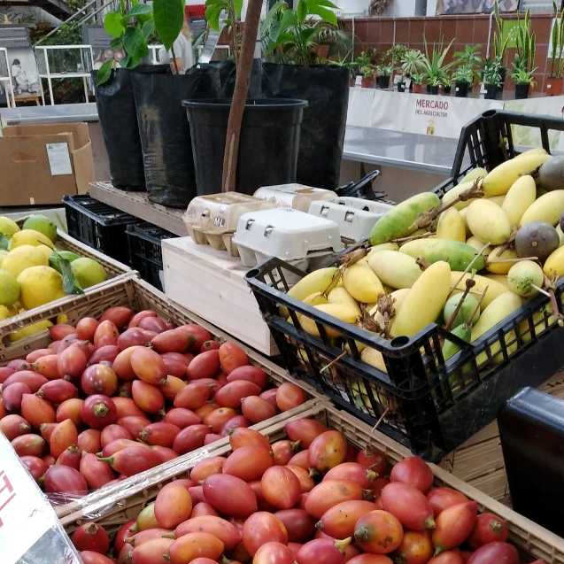 Boerenmarkt Valle San Lorenzo groenten en fruit