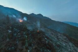 Beelden na bosbrand op Tenerife