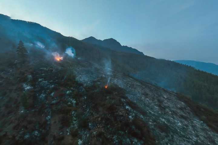 Beelden na de bosbrand op Tenerife