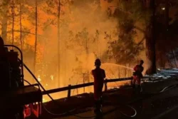 Bosbrand aangestoken Tenerife, pompiers blussen