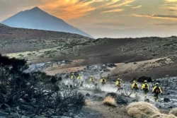 Bosbrand onder controle op Tenerife