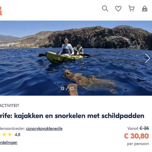 Kayakken met schildpadden