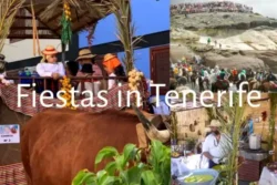 Het traditionele Tenerife met feesten en cultuur