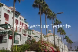 Vakantieverhuur Tenerife - Resort met palmbomen en bloeiende struiken.