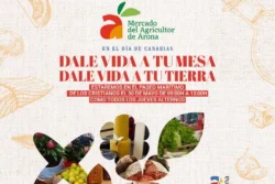 Mercado Día de Canarias affiche